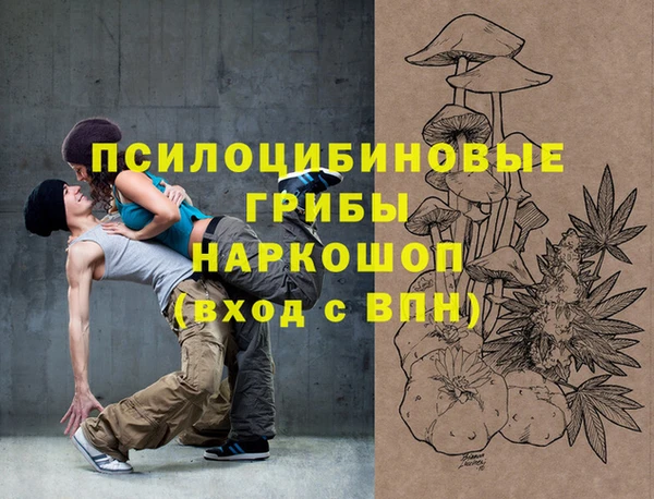 винт Наволоки