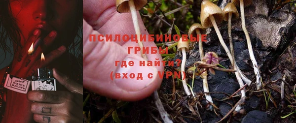 спиды Михайлов