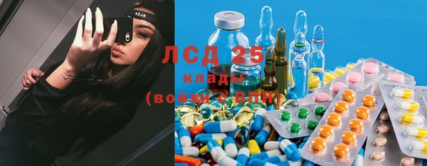 спиды Михайлов